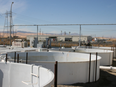 20 FT Tanks