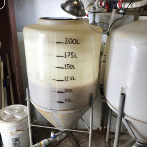 Artemia Holding Tank