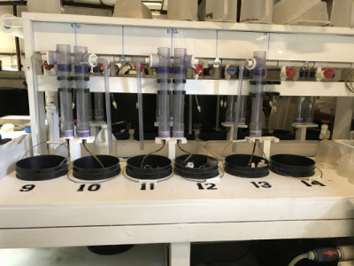 Column Incubator System