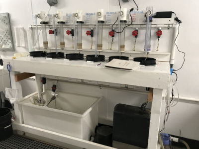 Research-Incubation-System-2