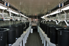 Research Larval Facility